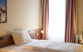 Туры в отель Hotel Primula