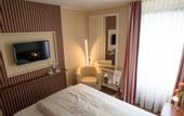 Туры в отель Hotel Primula