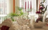 Туры в отель Hotel Primula