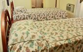 Туры в отель Daher Center Hotel