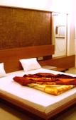 Туры в отель Hotel Rajmandir