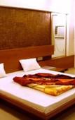 Туры в отель Hotel Rajmandir