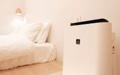 Туры в отель Hotel Imagine Kyoto