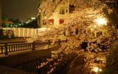 Туры в отель TOWN HOTEL Forty One