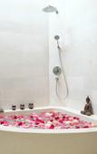 Туры в отель Kubu Gajah Villas