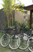 Туры в отель Kubu Gajah Villas