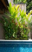 Туры в отель Kubu Gajah Villas