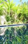 Туры в отель Kubu Gajah Villas