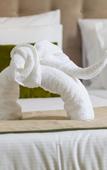 Туры в отель Quinta da Magnolia