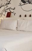 Туры в отель Hotel Casa HX - Adults Only