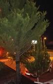 Туры в отель Hotel Lazlakar