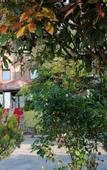 Туры в отель Hotel Lazlakar