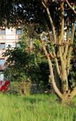 Туры в отель Hotel Lazlakar
