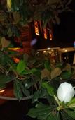 Туры в отель Hotel Lazlakar