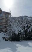 Туры в отель Hotel Lazlakar