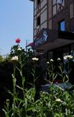 Туры в отель Hotel Lazlakar