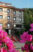 Туры в отель Hotel Lazlakar