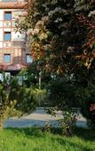 Туры в отель Hotel Lazlakar