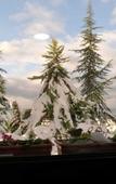 Туры в отель Hotel Lazlakar