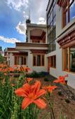Туры в отель Glacier View Guest House