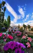 Туры в отель Glacier View Guest House