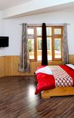 Туры в отель Glacier View Guest House