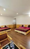 Туры в отель Glacier View Guest House