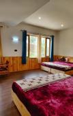 Туры в отель Glacier View Guest House