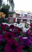 Туры в отель Glacier View Guest House