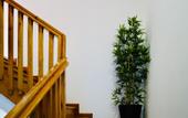 Туры в отель O poboa guesthouse