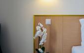 Туры в отель O poboa guesthouse