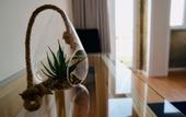 Туры в отель O poboa guesthouse