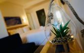 Туры в отель O poboa guesthouse