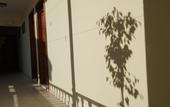 Туры в отель Totelya Hotel (Adults Only)
