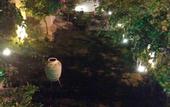 Туры в отель Totelya Hotel (Adults Only)