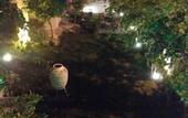 Туры в отель Totelya Hotel (Adults Only)