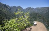 Туры в отель Casa do Ribeiro Frio