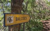 Туры в отель Casa do Ribeiro Frio