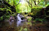 Туры в отель Casa do Ribeiro Frio