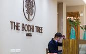 Туры в отель The Bodhi Tree Ladakh