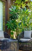 Туры в отель Ahana Resort El Nido