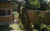 Туры в отель Guesthouse Meguruya