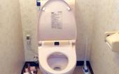Туры в отель Guesthouse Meguruya