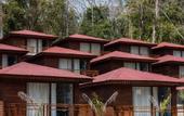 Туры в отель Symphony Samudra Beachside Jungle Resort And Spa