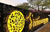 Туры в отель Symphony Samudra Beachside Jungle Resort And Spa