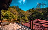 Туры в отель Symphony Samudra Beachside Jungle Resort And Spa