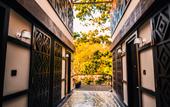 Туры в отель Symphony Samudra Beachside Jungle Resort And Spa