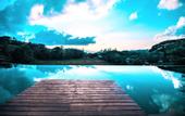 Туры в отель Symphony Samudra Beachside Jungle Resort And Spa