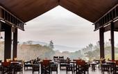 Туры в отель Symphony Samudra Beachside Jungle Resort And Spa