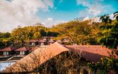 Туры в отель Symphony Samudra Beachside Jungle Resort And Spa